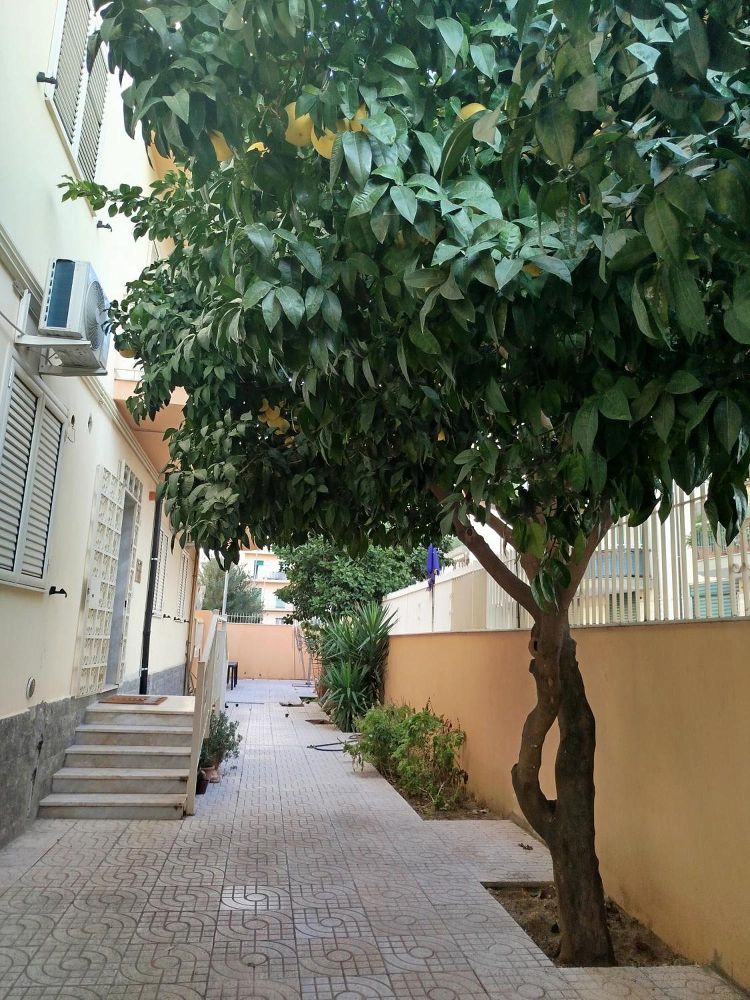 B&B Confort Reggio di Calabria Buitenkant foto